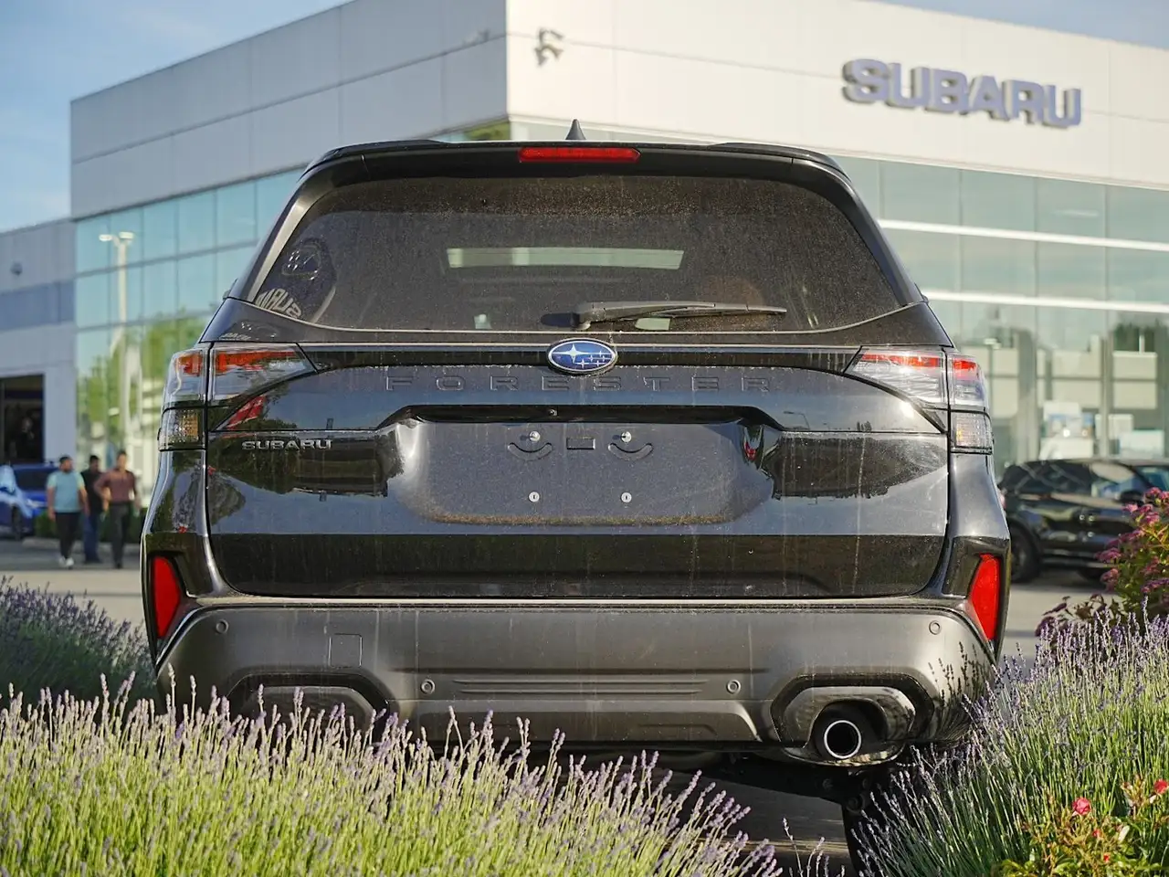Subaru Forester fotografie Subaru Forester