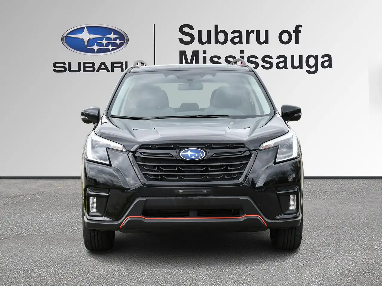 Subaru Forester fotografie Subaru Forester