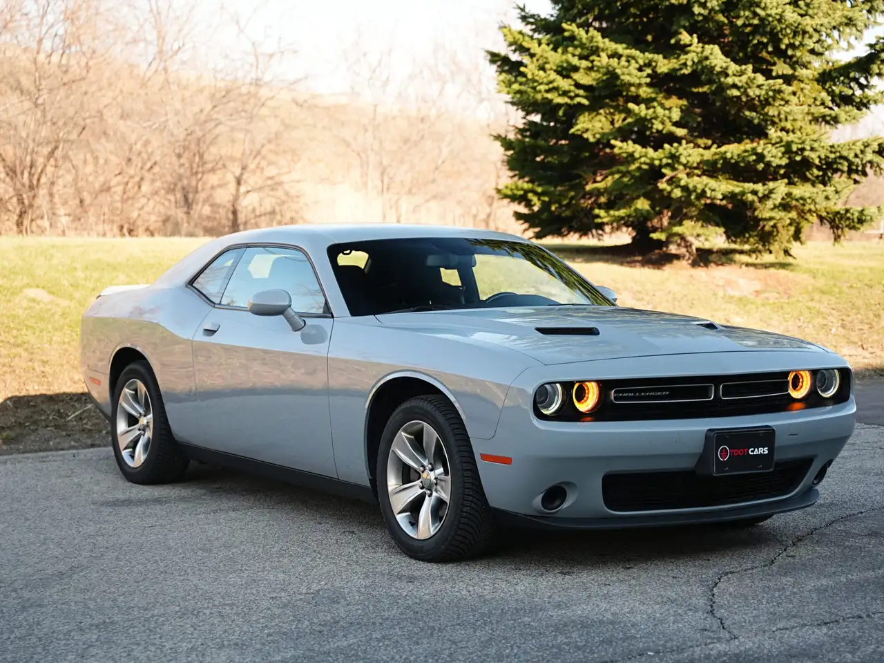 Dodge Challenger fotografie Dodge Challenger