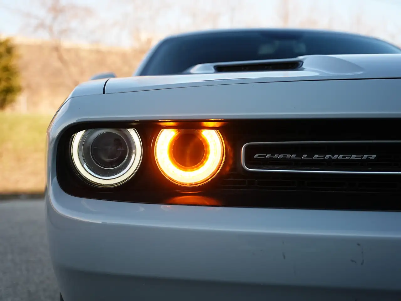 Dodge Challenger fotografie Dodge Challenger