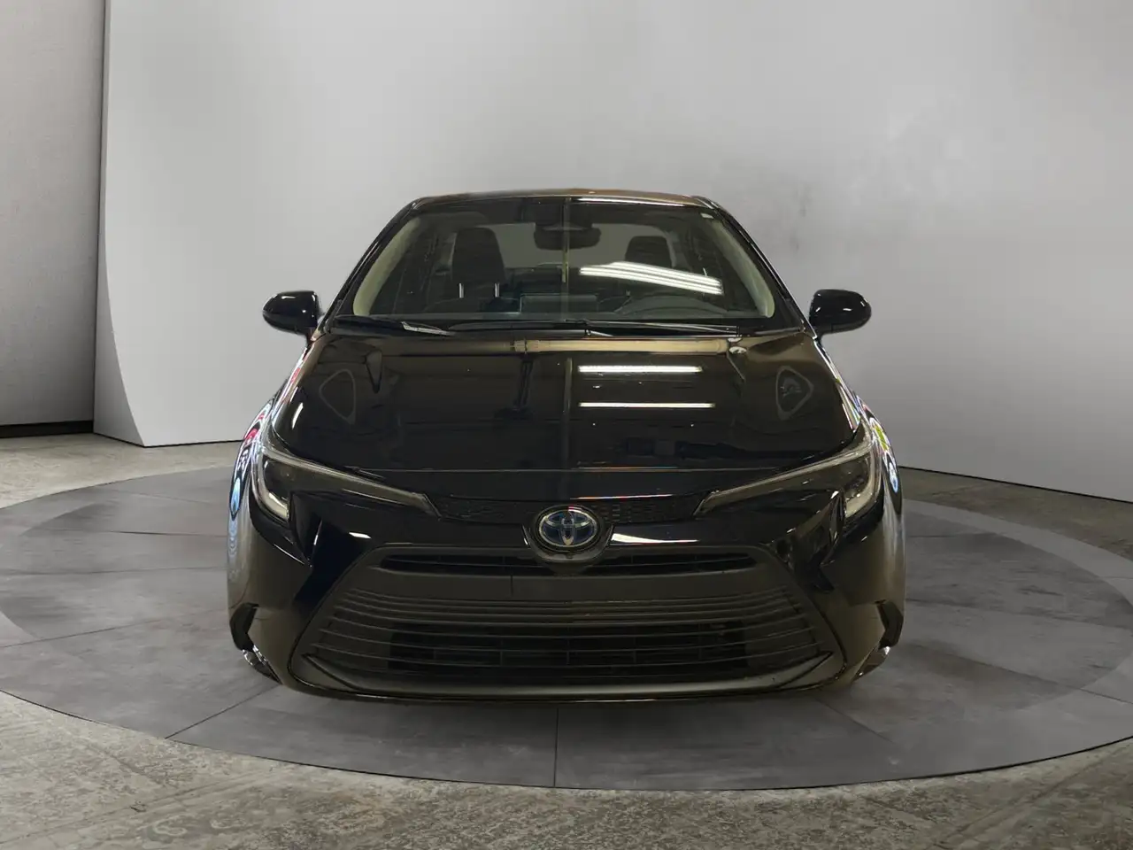 Toyota Corolla fotografie Toyota Corolla
