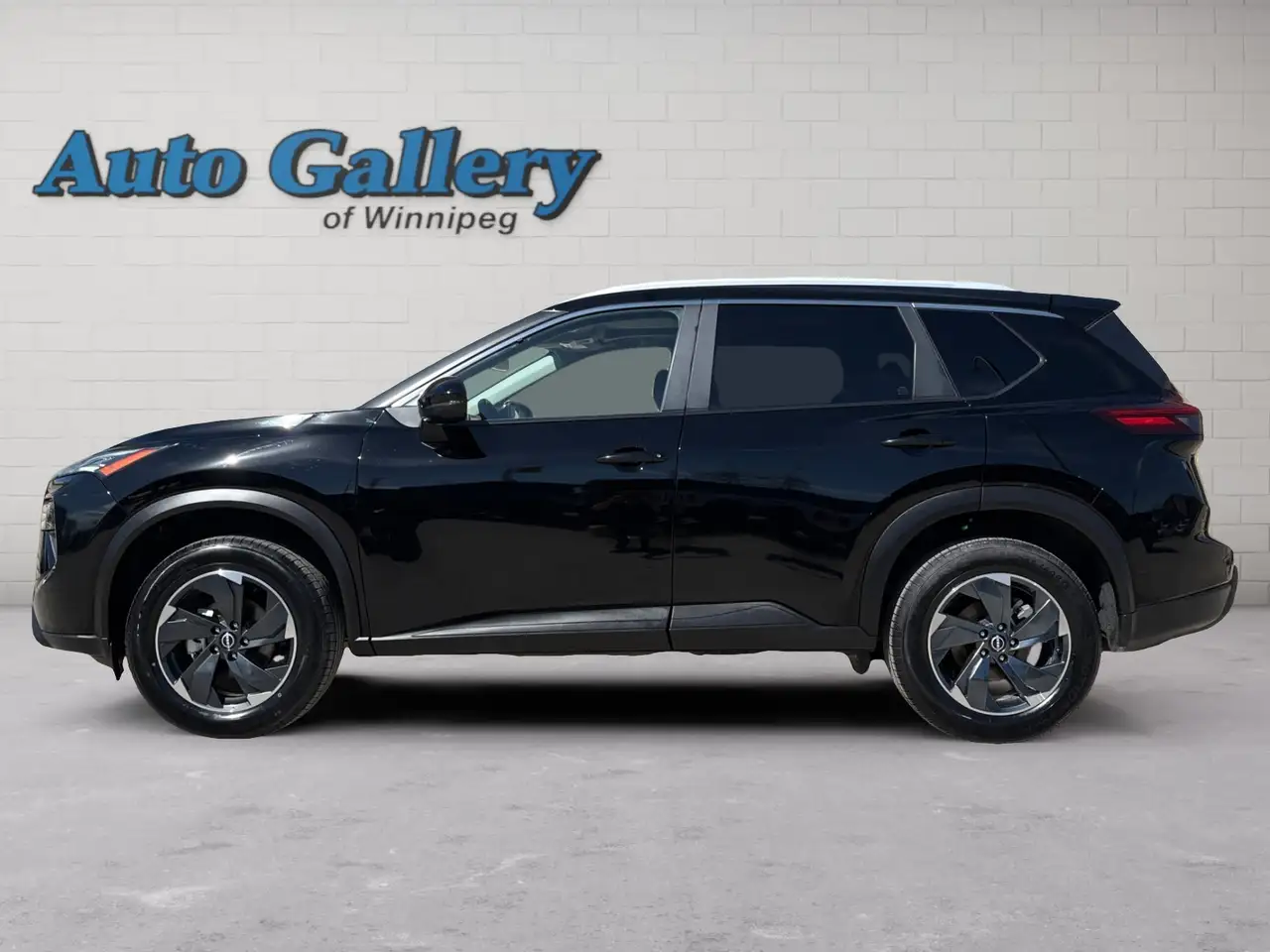 Nissan Rogue fotografie Nissan Rogue