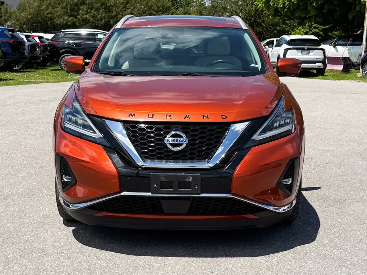Nissan Murano photo Nissan Murano