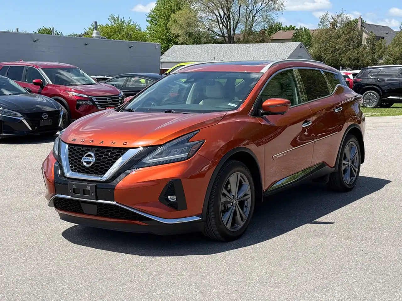 Nissan Murano photo Nissan Murano