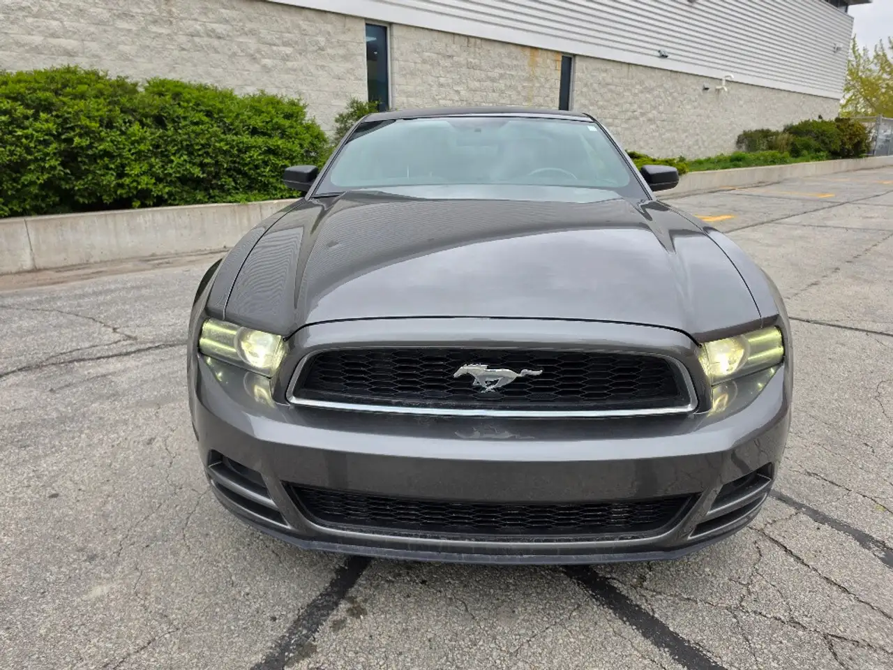 Ford Mustang снимка Ford Mustang