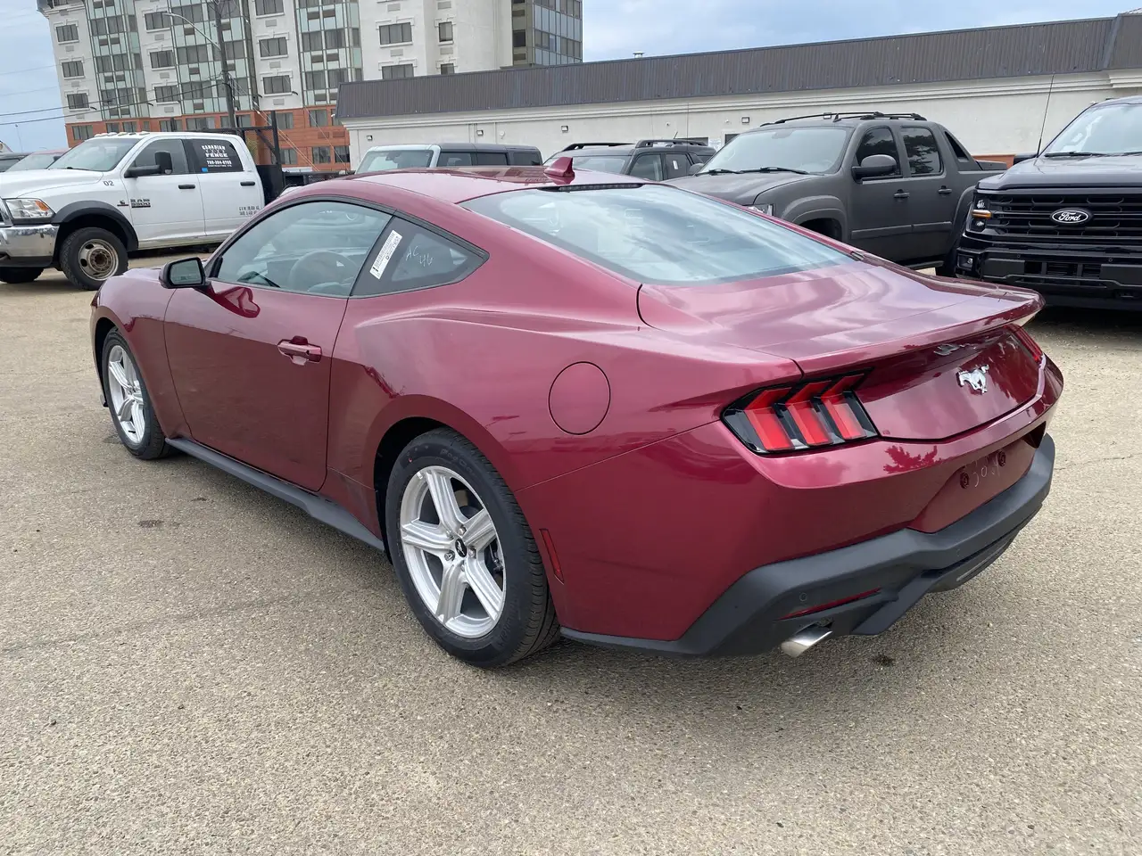 Ford Mustang fotografie Ford Mustang