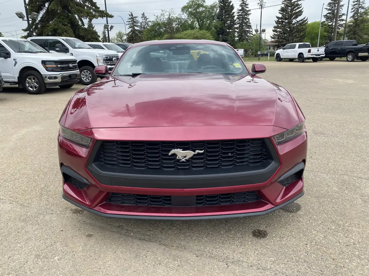 Ford Mustang fotografie Ford Mustang