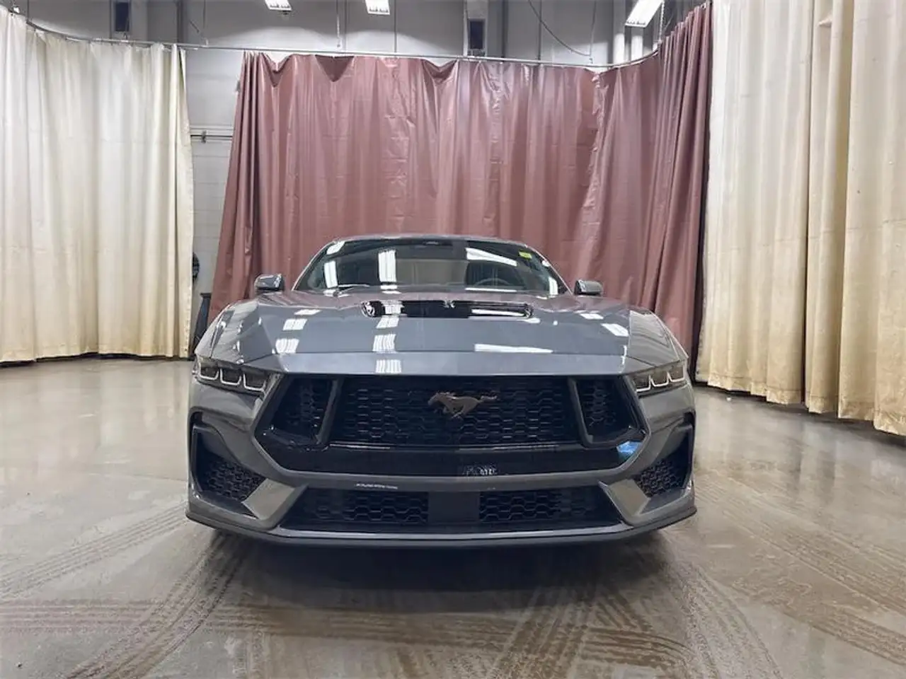 Ford Mustang снимка Ford Mustang
