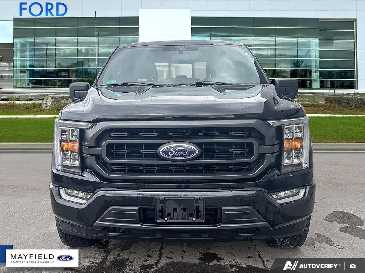 Ford F 150 fotografie Ford F 150