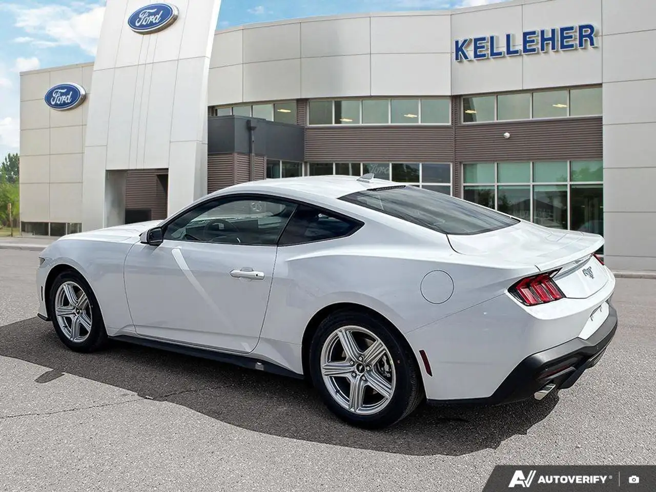Ford Mustang fotografie Ford Mustang