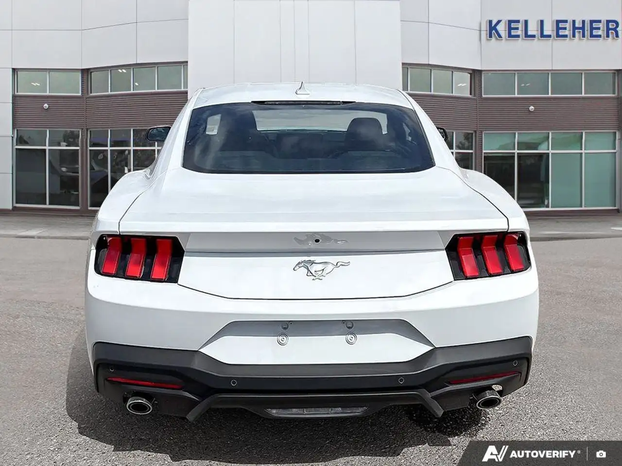 Ford Mustang fotografie Ford Mustang