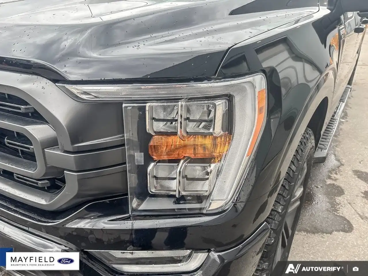 Ford F 150 fotografie Ford F 150