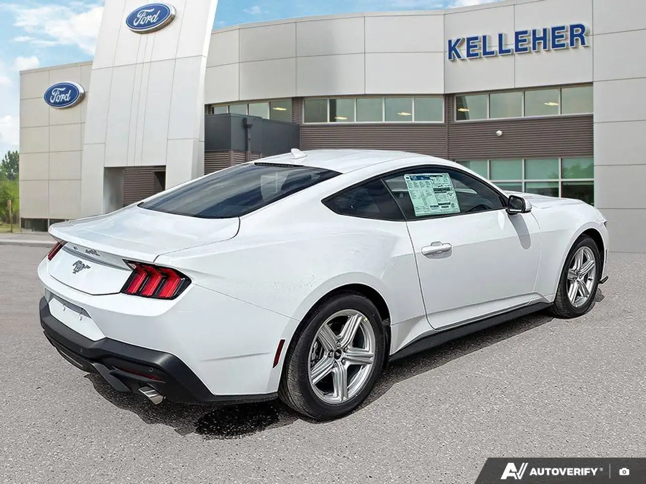 Ford Mustang fotografie Ford Mustang