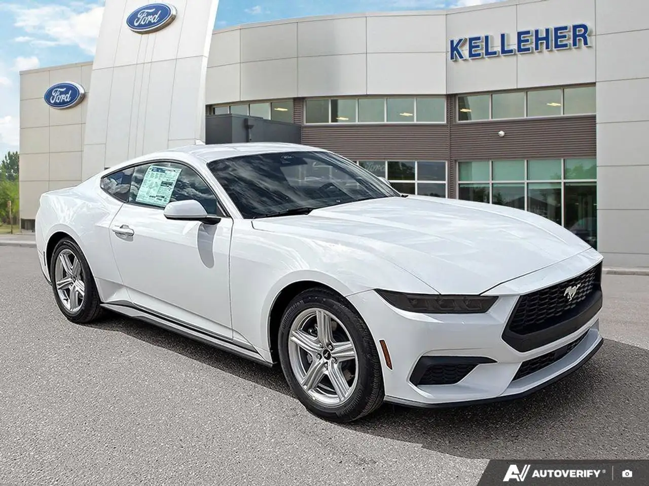 Ford Mustang fotografie Ford Mustang