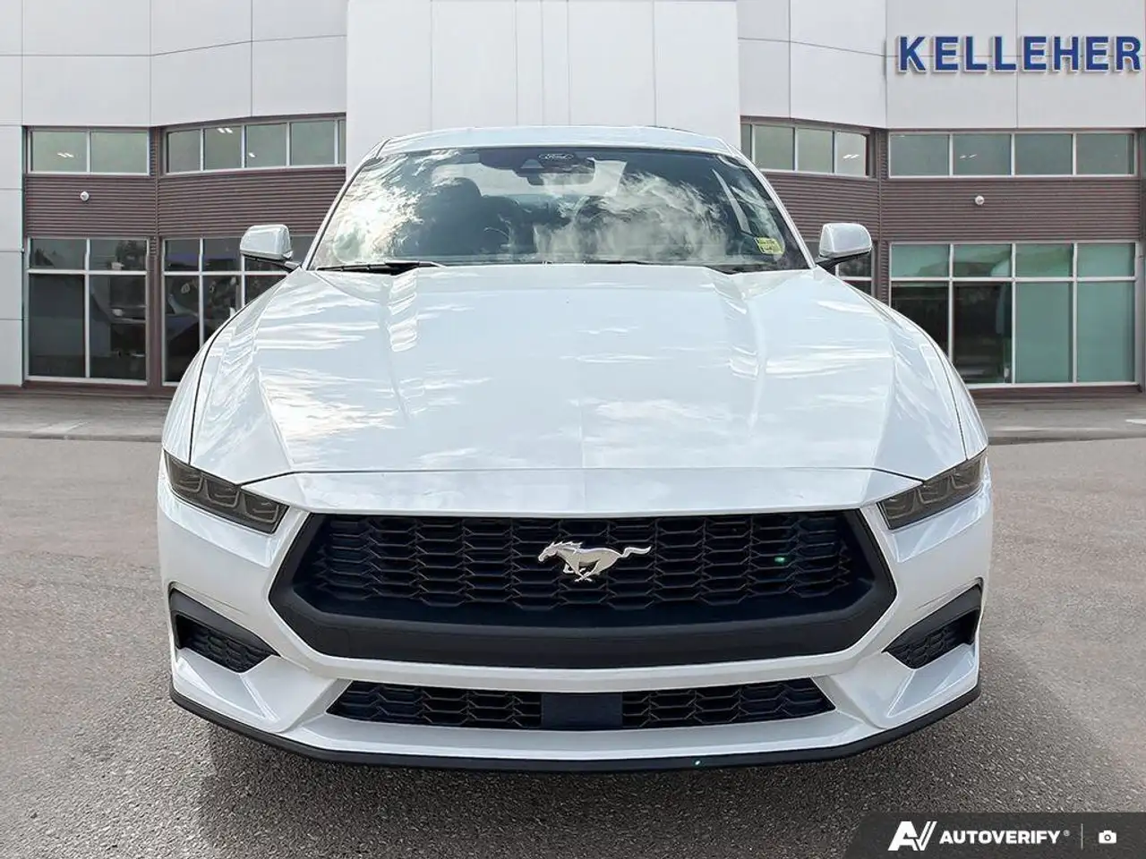 Ford Mustang fotografie Ford Mustang