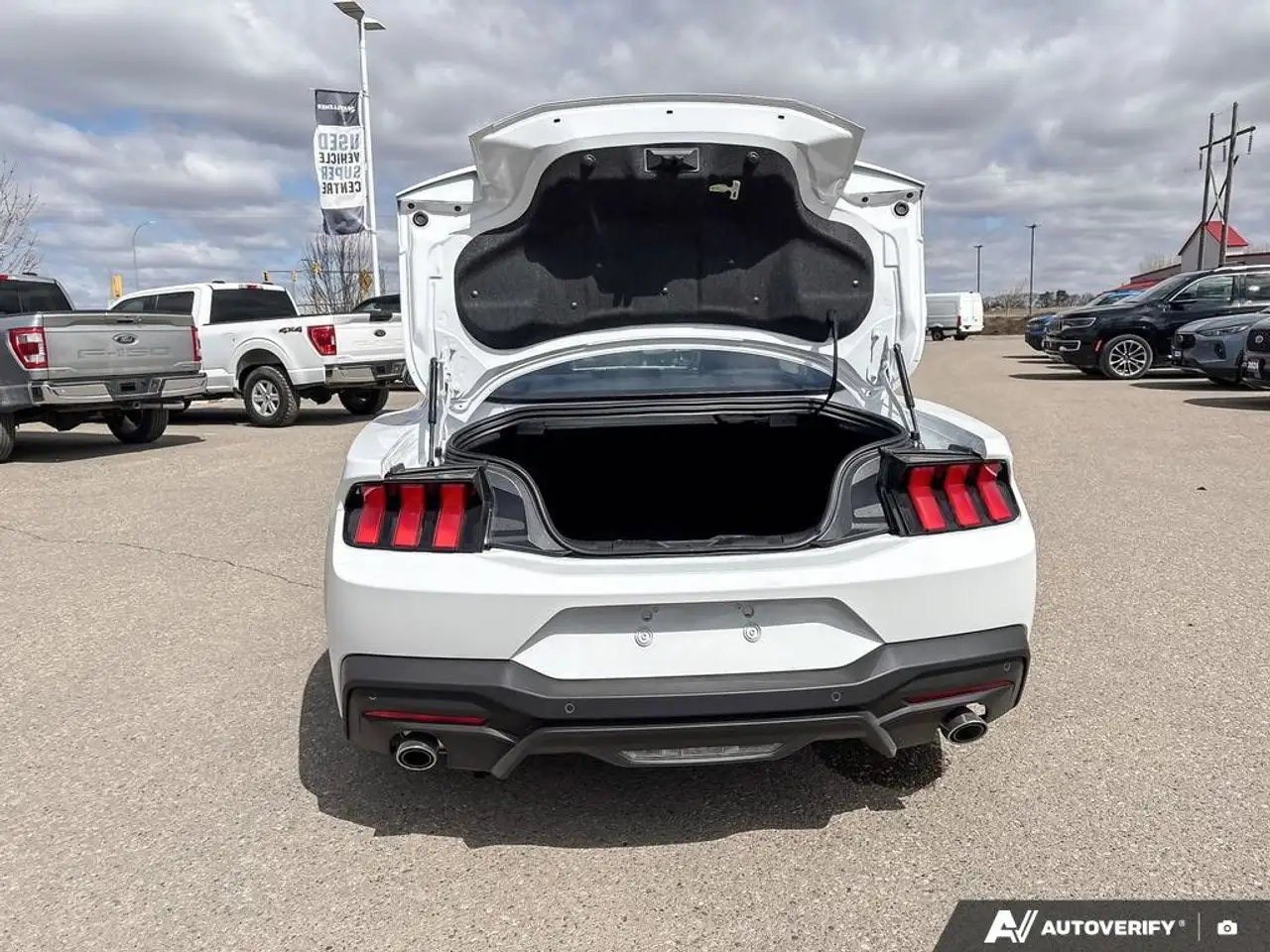 Ford Mustang fotografie Ford Mustang