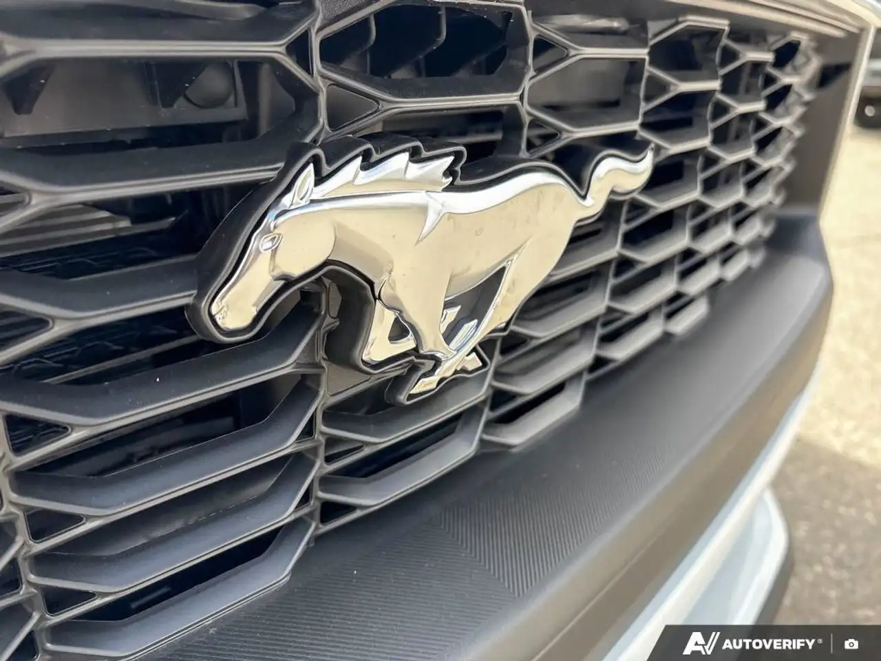 Ford Mustang fotografie Ford Mustang