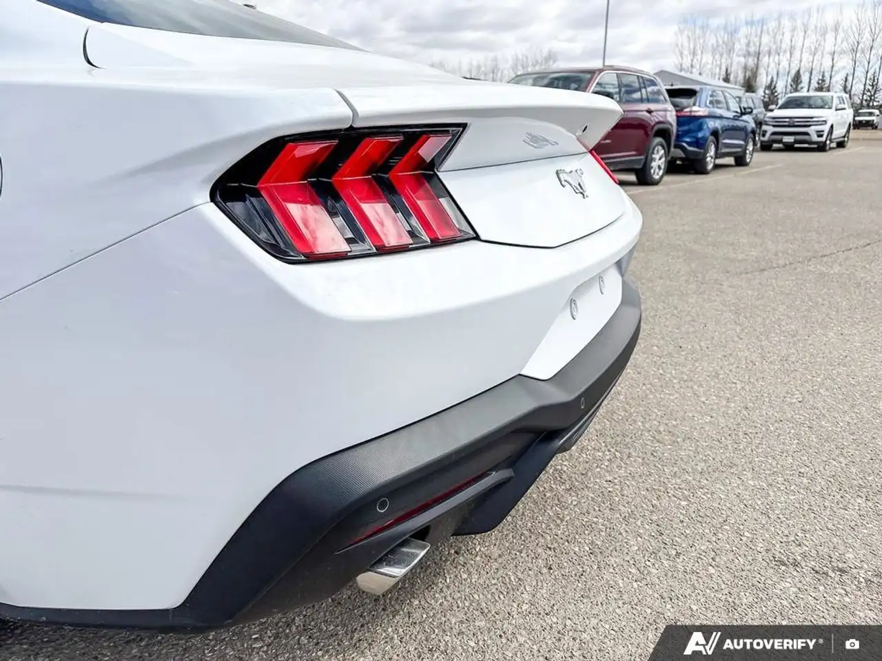 Ford Mustang fotografie Ford Mustang