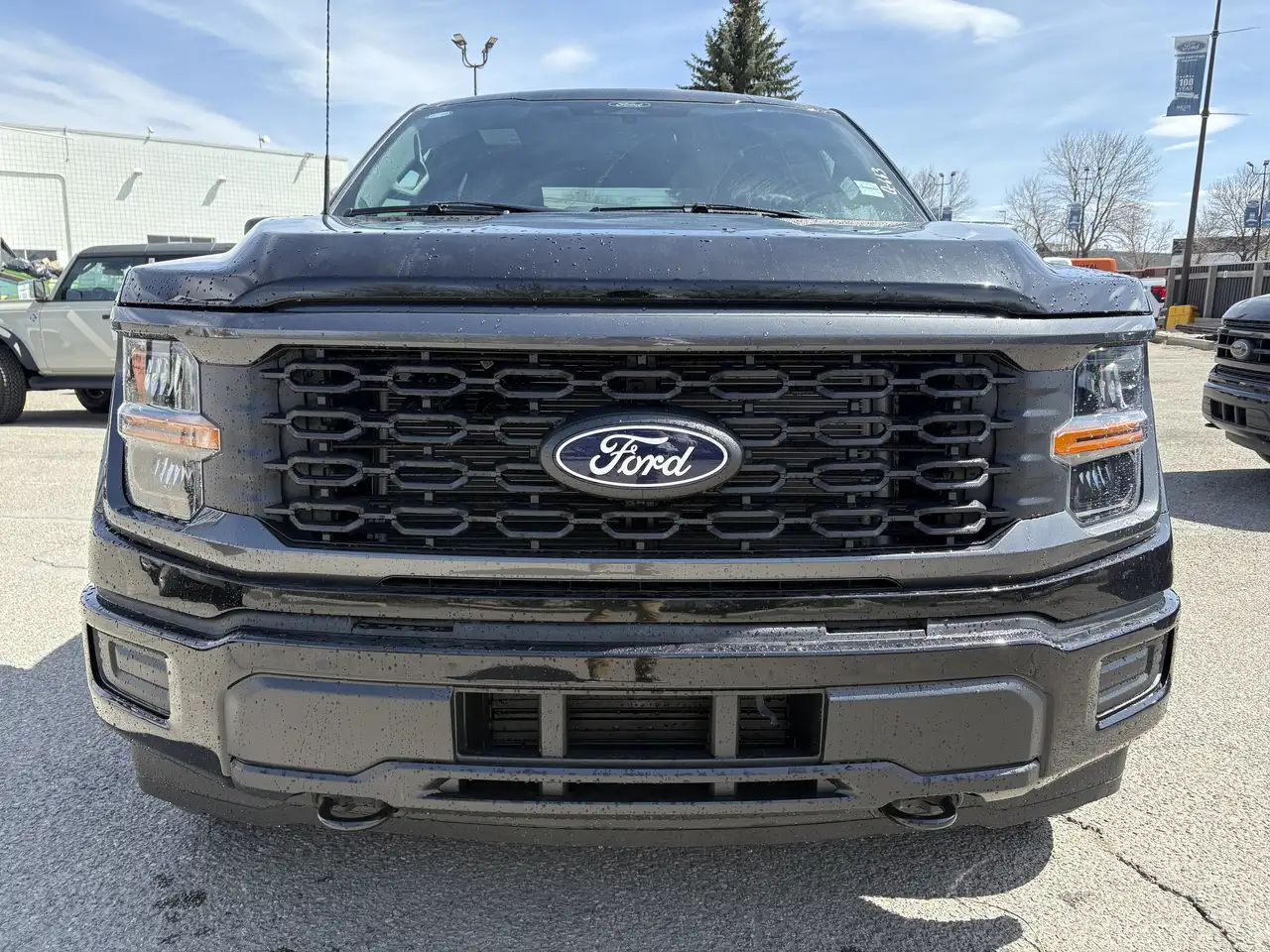 Ford F 150 снимка Ford F 150