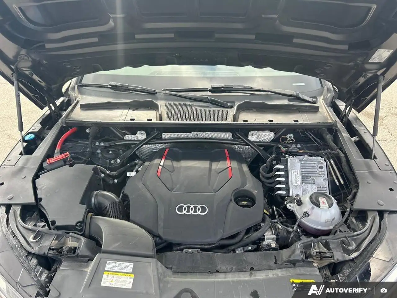Audi SQ5 fotografie Audi SQ5
