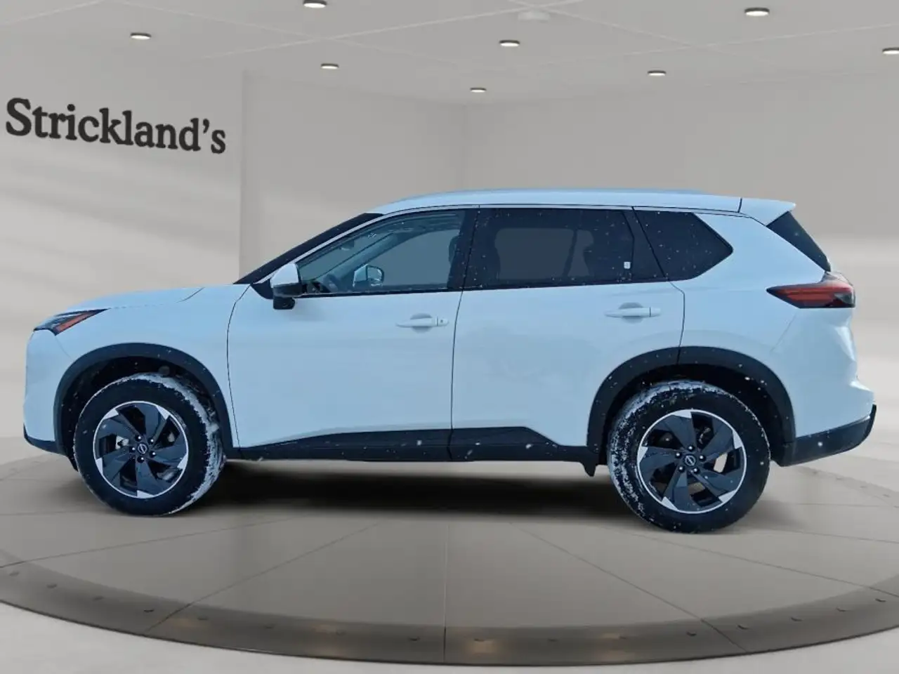 Nissan Rogue fotografie Nissan Rogue