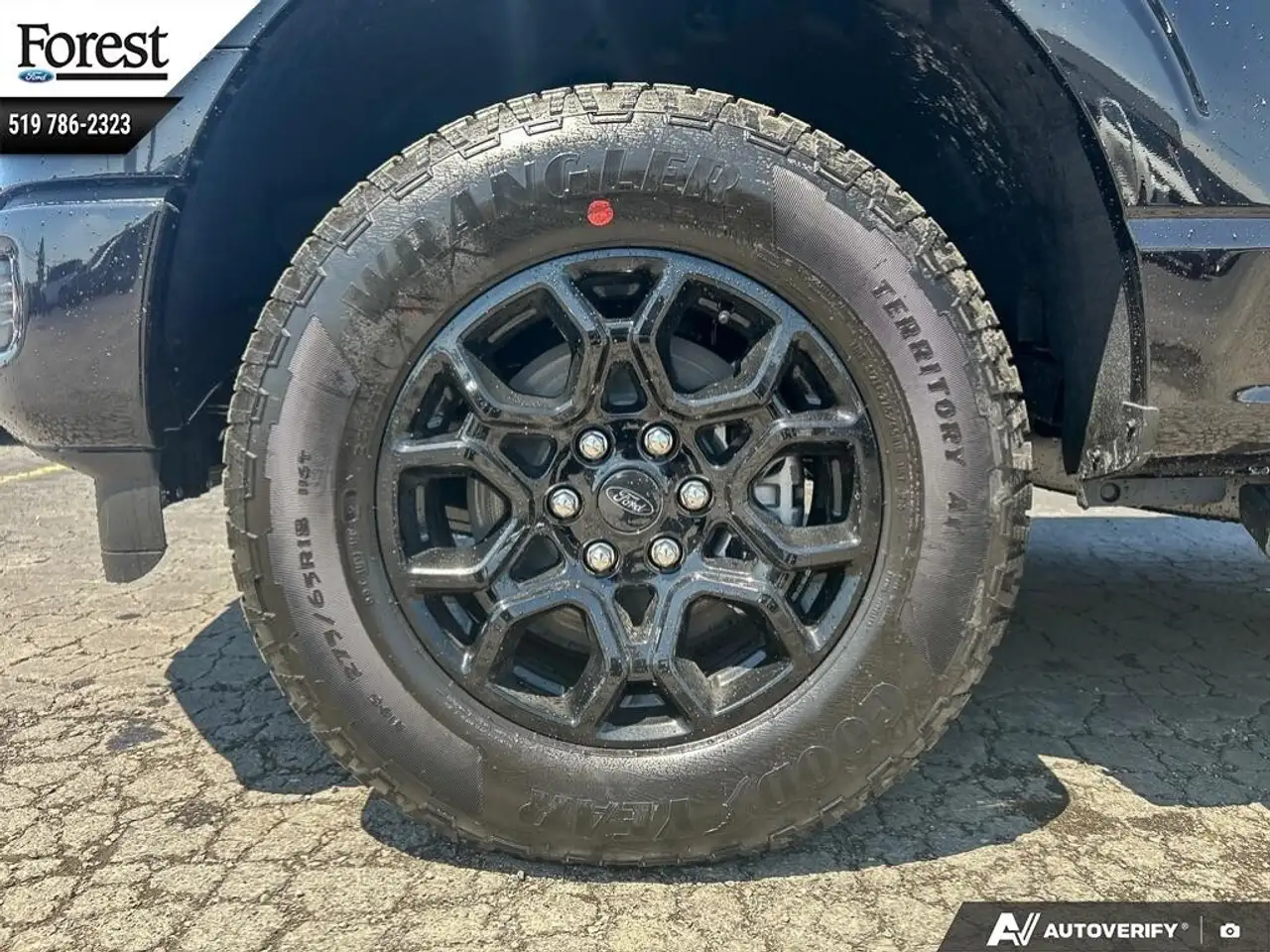 Ford F 150 fotografie Ford F 150