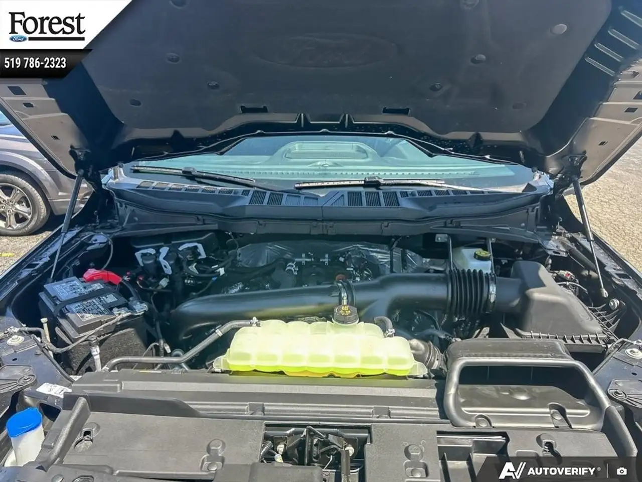 Ford F 150 fotografie Ford F 150