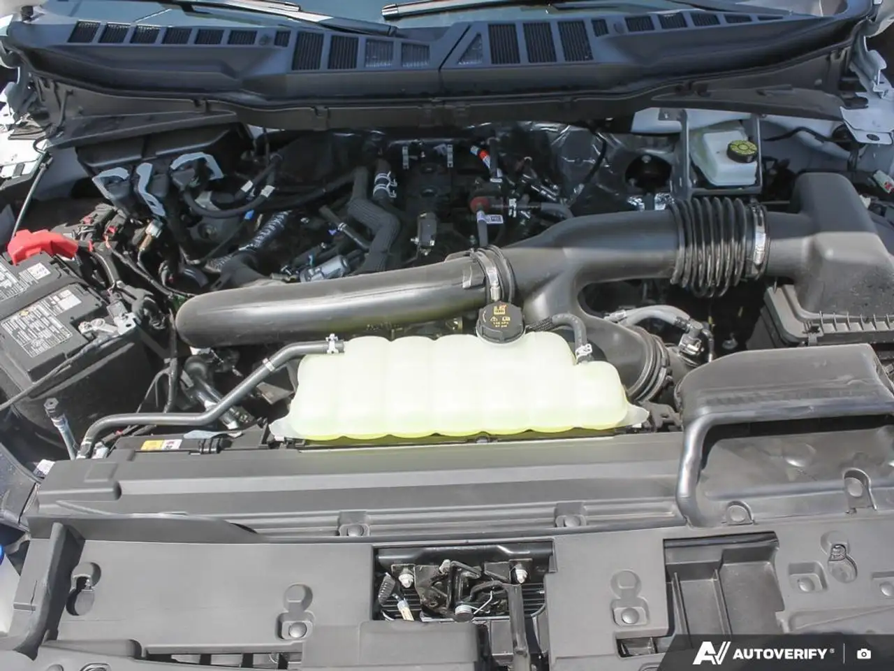 Ford F 150 fotografie Ford F 150
