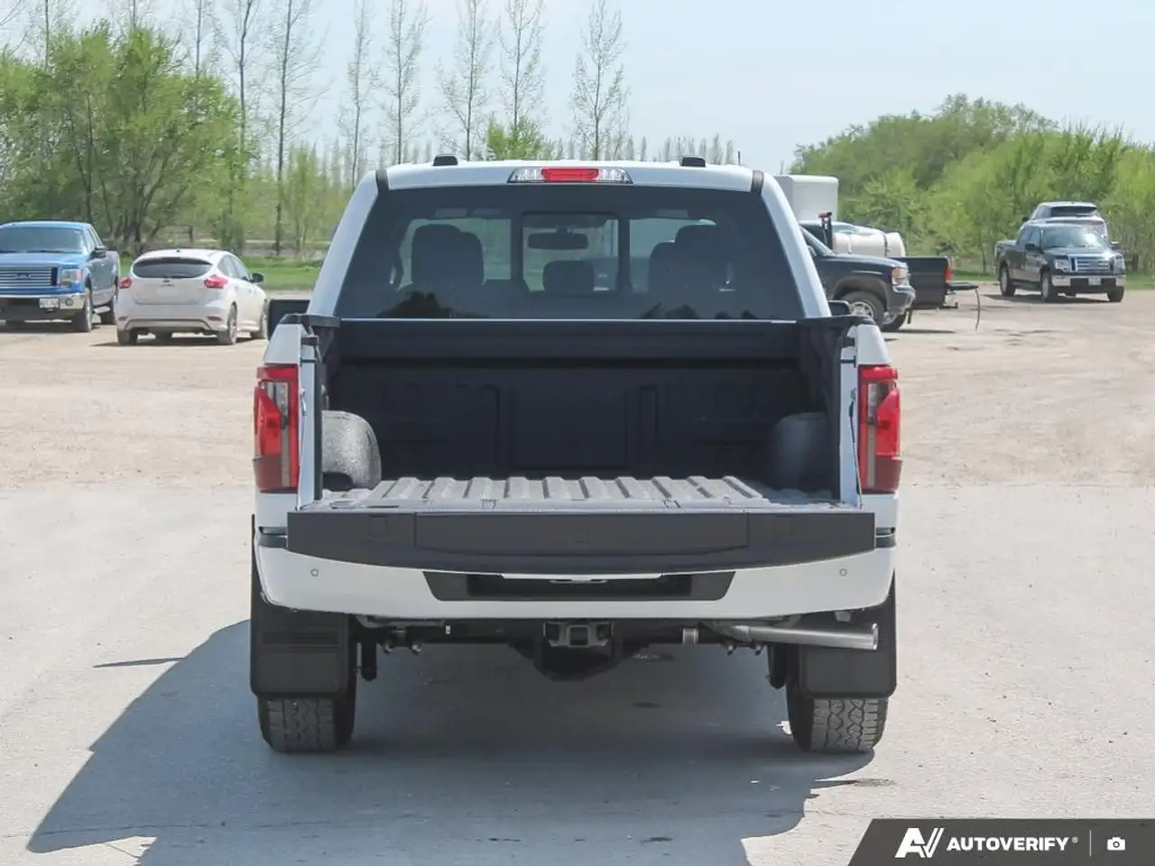Ford F 150 fotografie Ford F 150