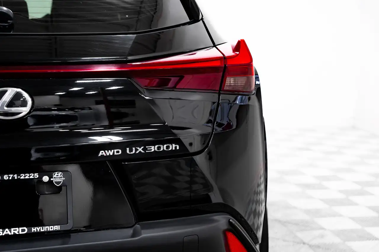 Lexus UX fotografie Lexus UX