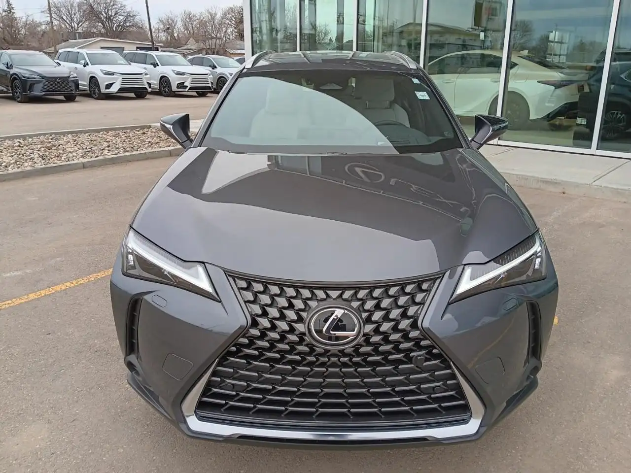 Lexus UX 300h снимка Lexus UX 300h