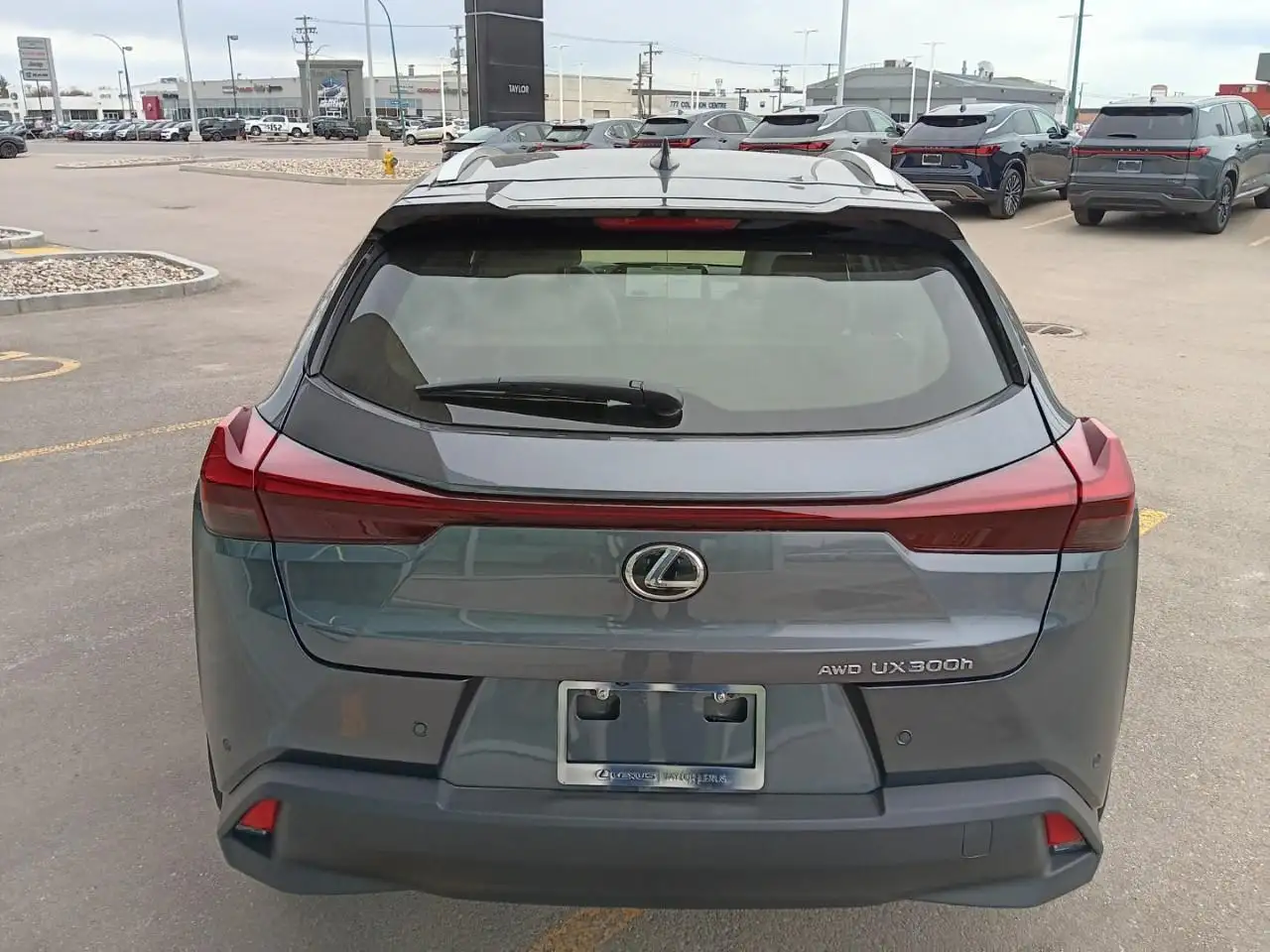 Lexus UX 300h снимка Lexus UX 300h