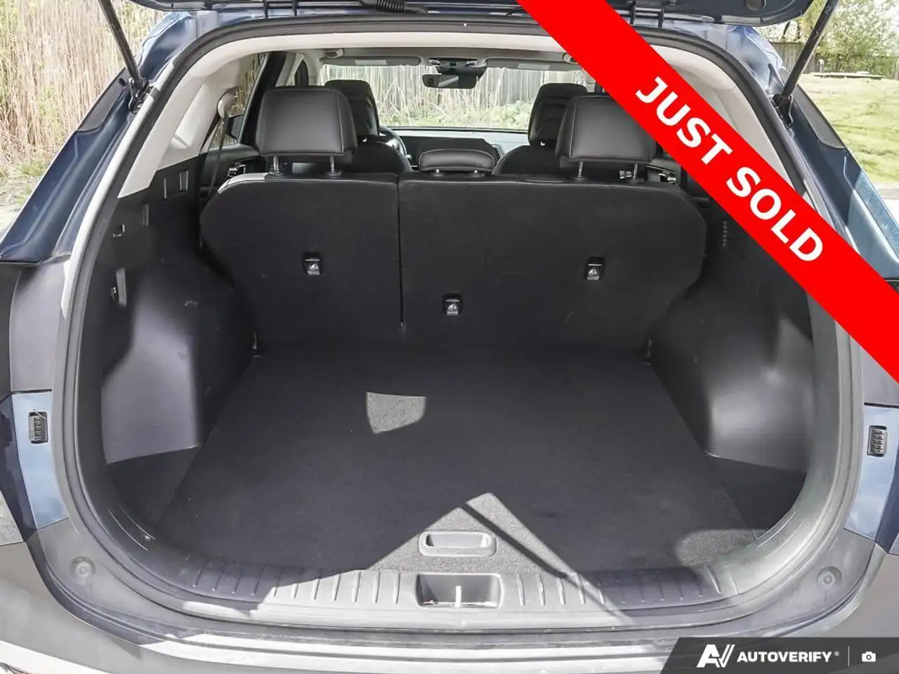 Kia Sportage photo Kia Sportage