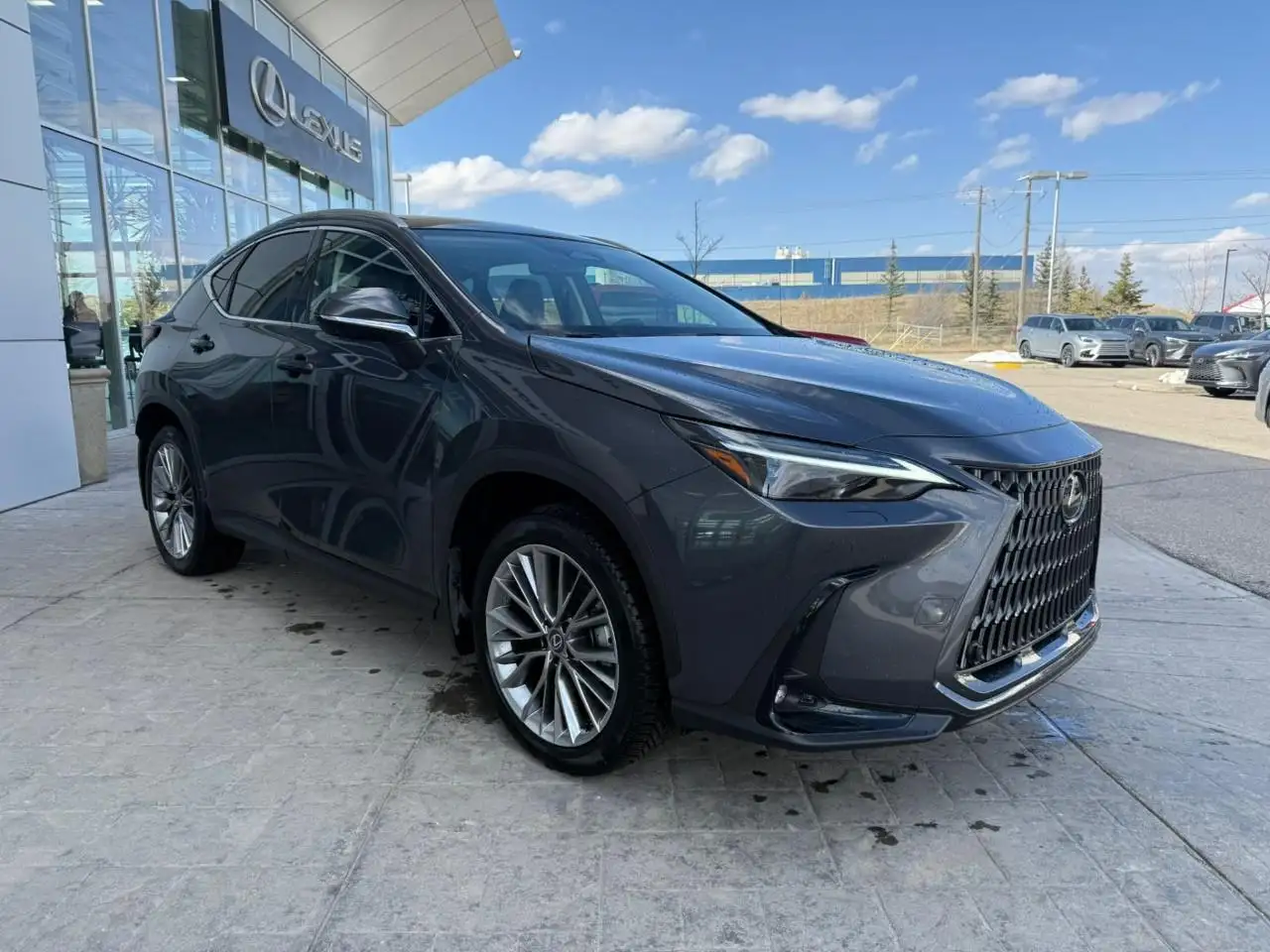 Lexus NX fotografie Lexus NX