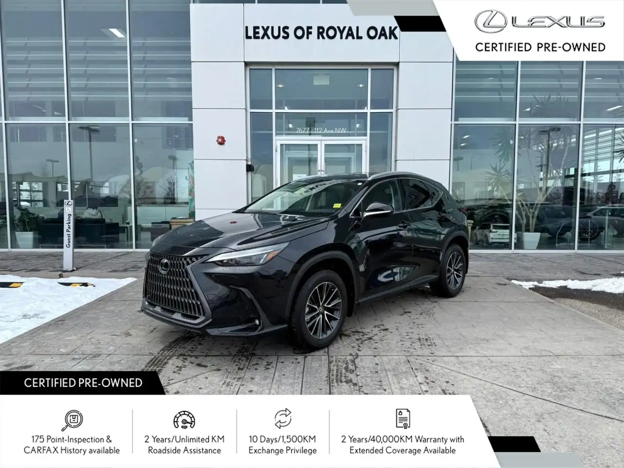 2025 Lexus NX