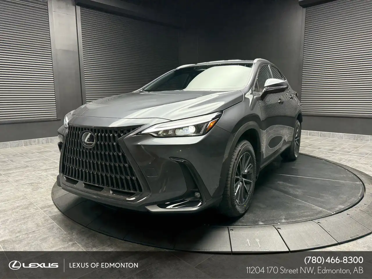Lexus NX photo Lexus NX