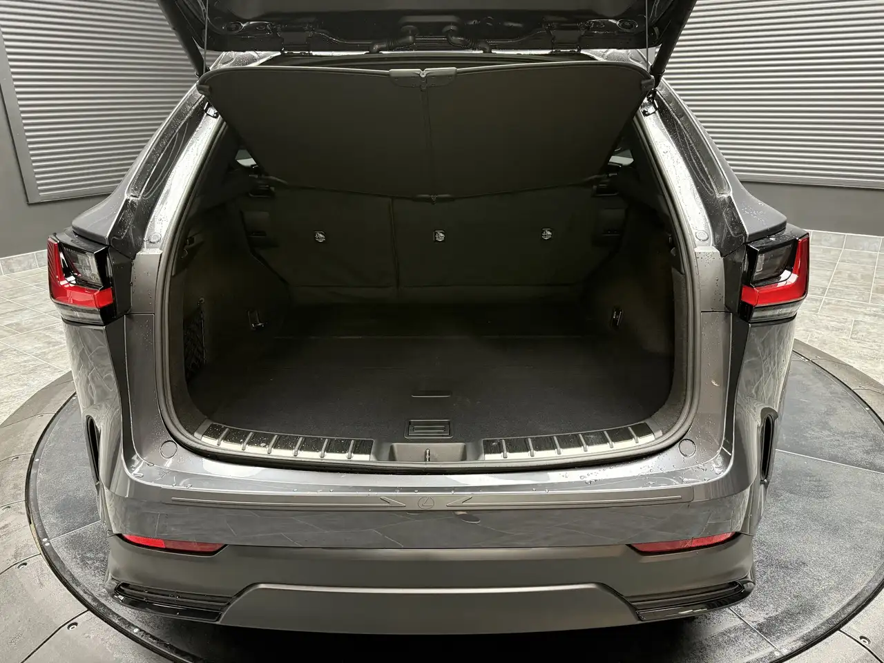 Lexus NX photo Lexus NX
