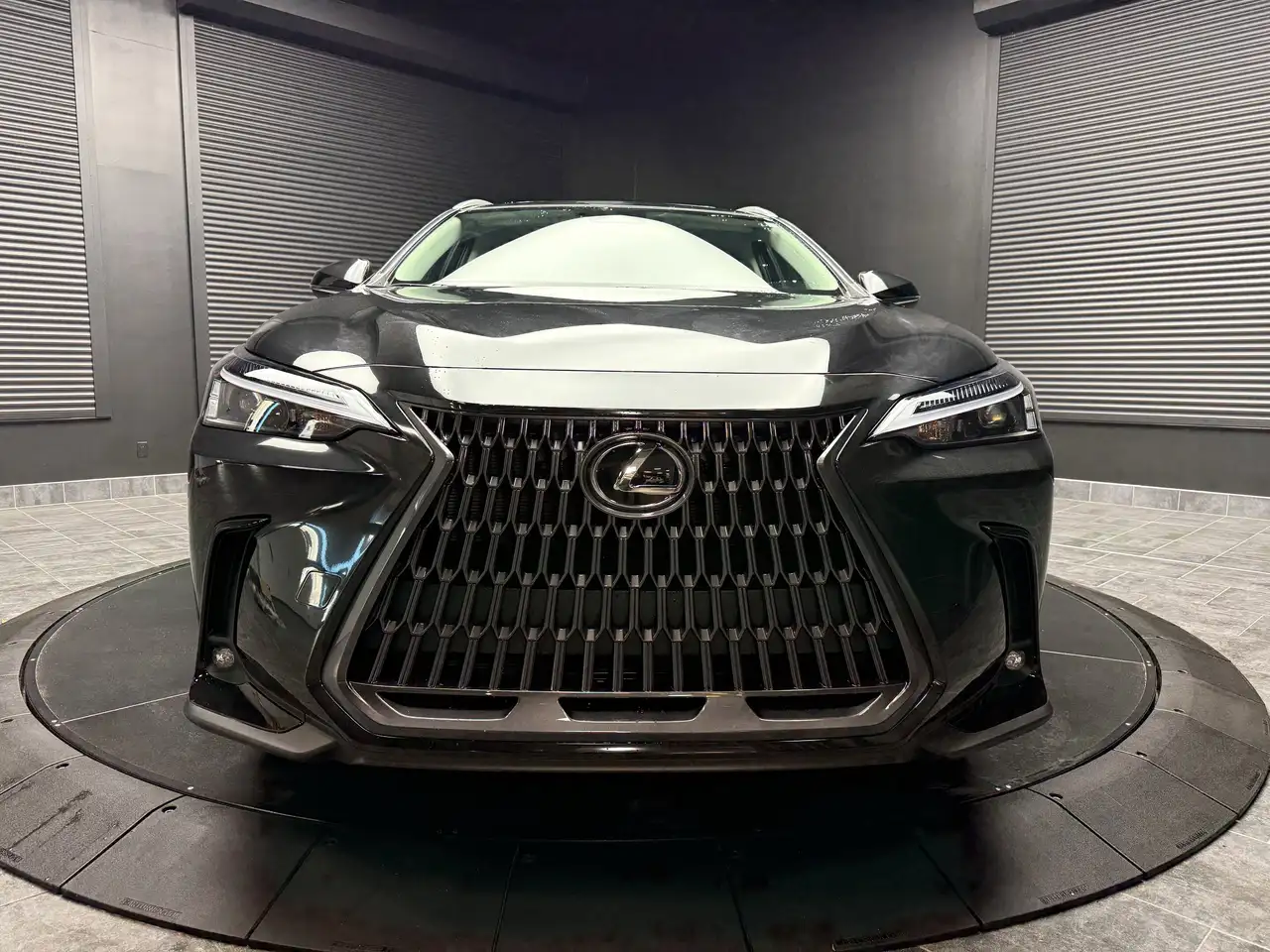 Lexus NX снимка Lexus NX