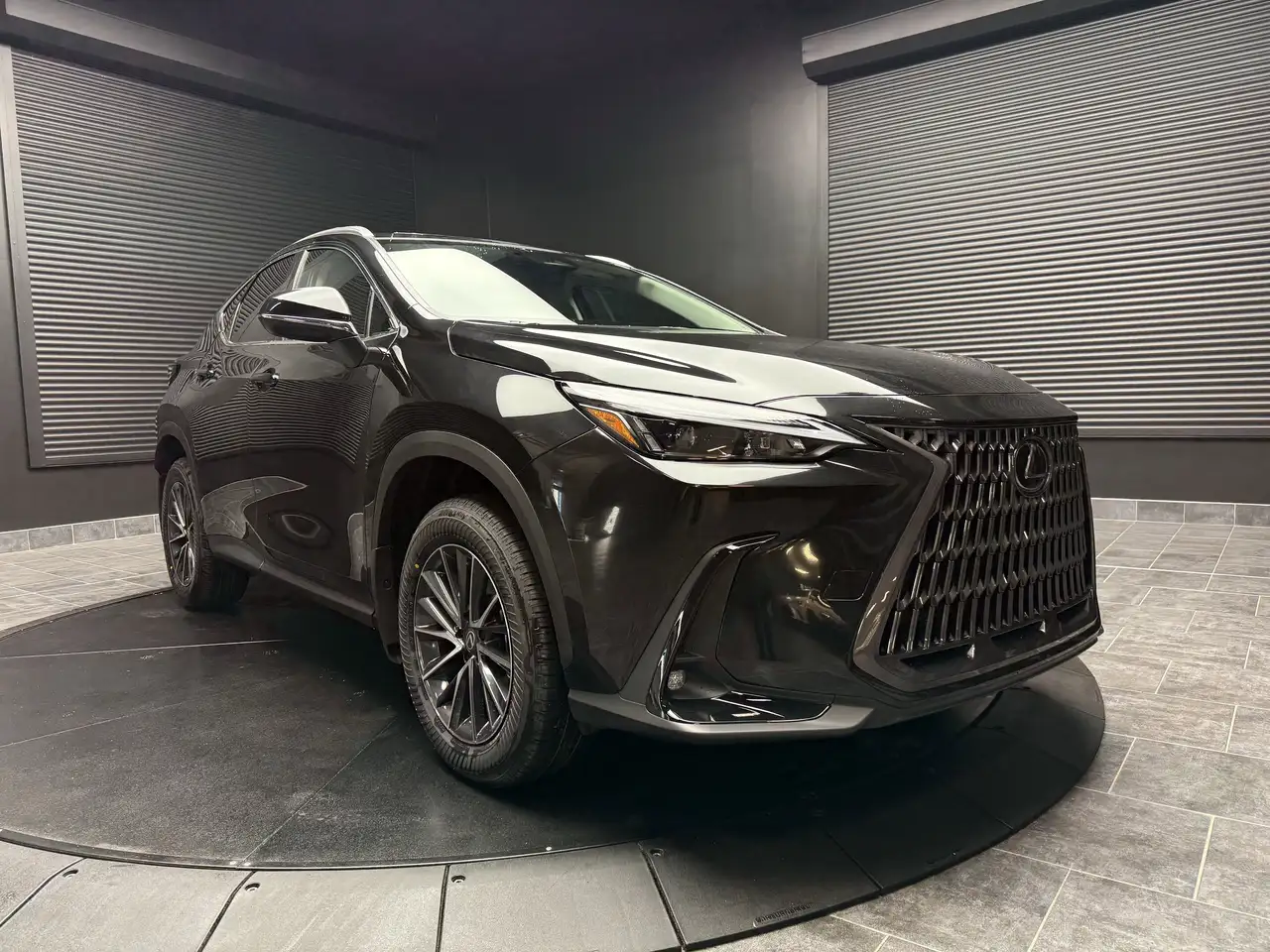 Lexus NX снимка Lexus NX