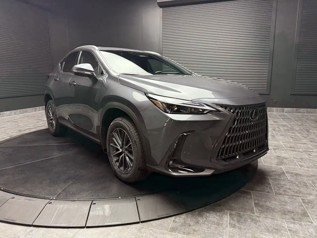 Lexus NX photo Lexus NX