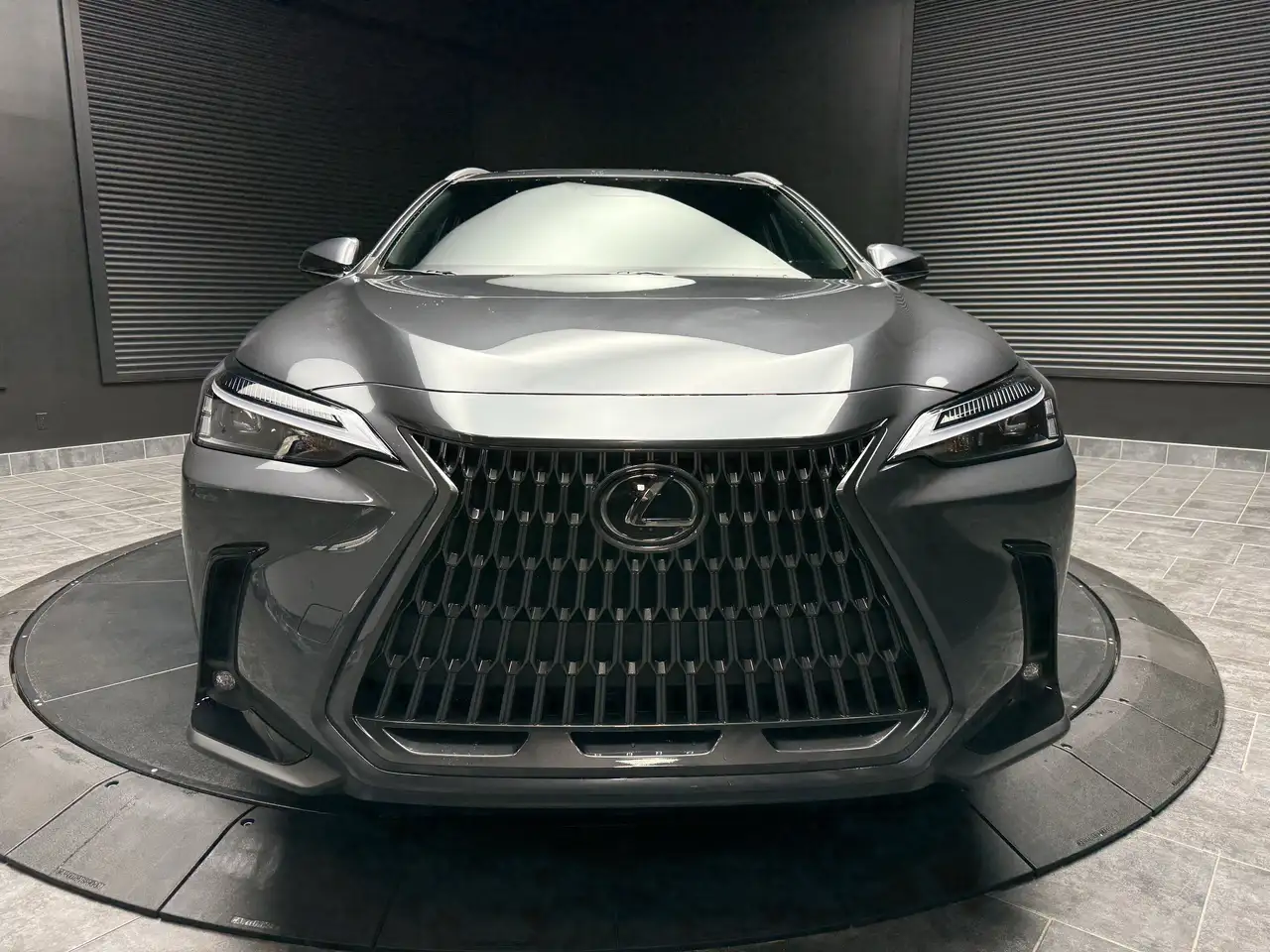 Lexus NX photo Lexus NX