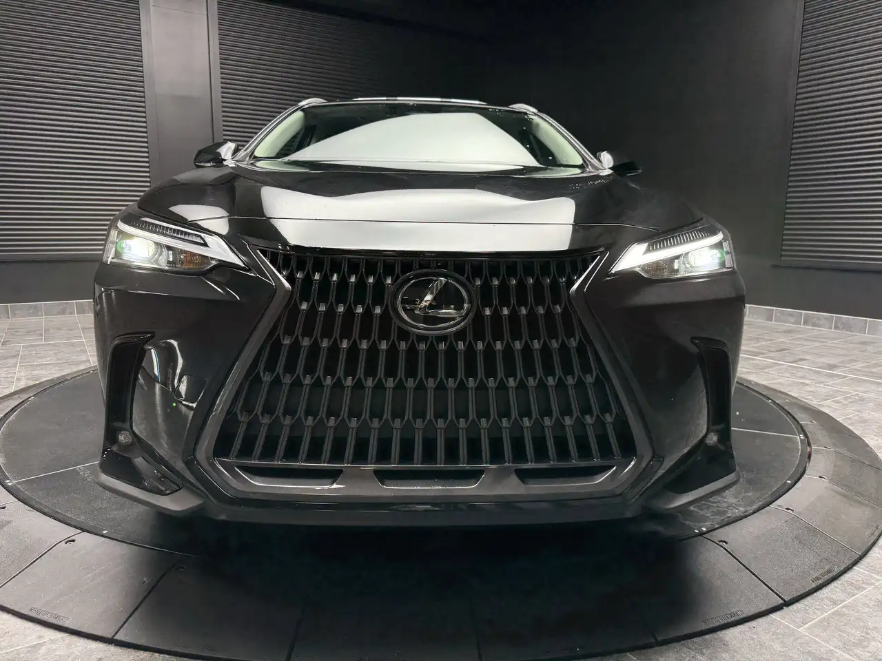 Lexus NX снимка Lexus NX
