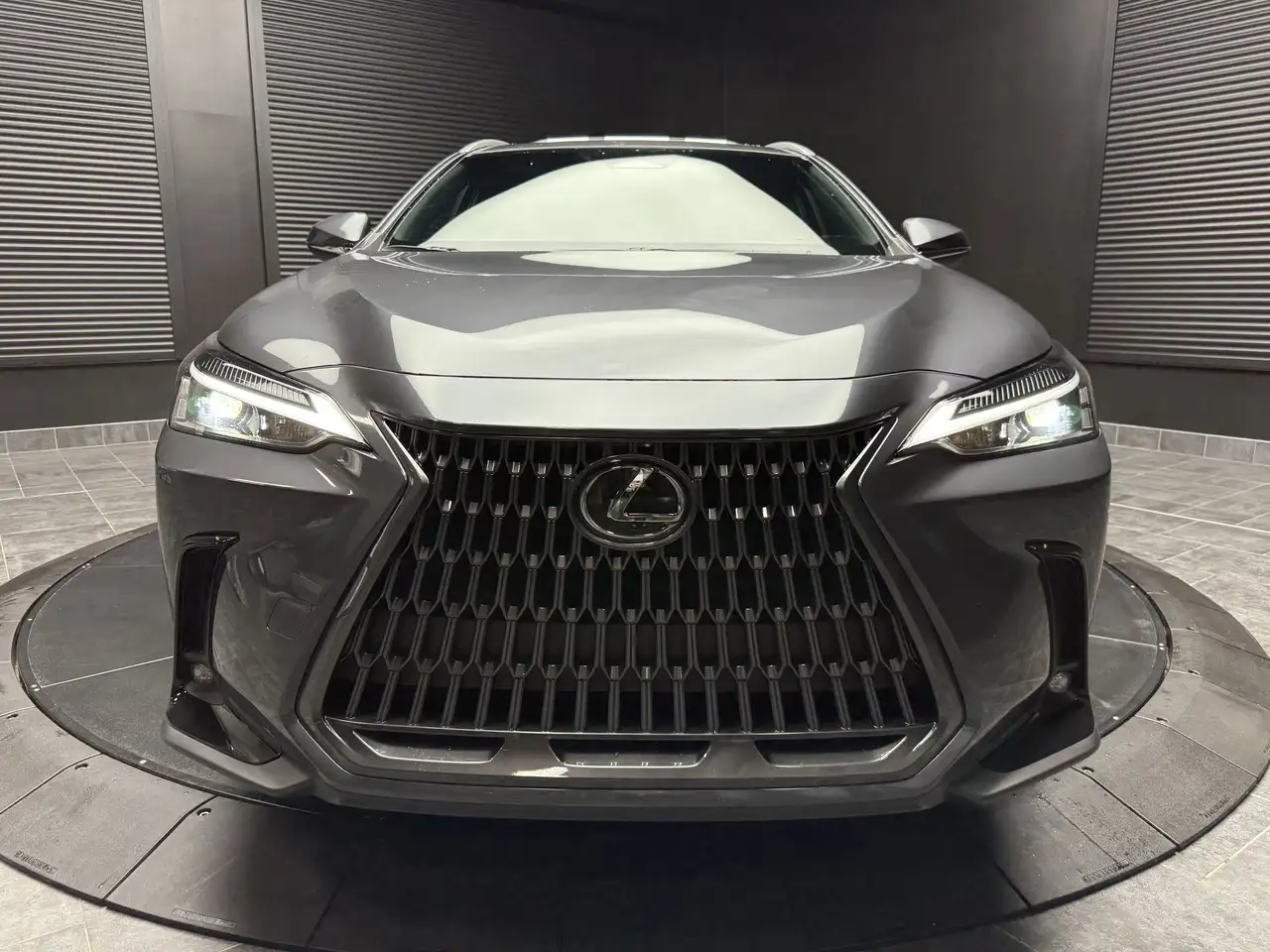 Lexus NX photo Lexus NX