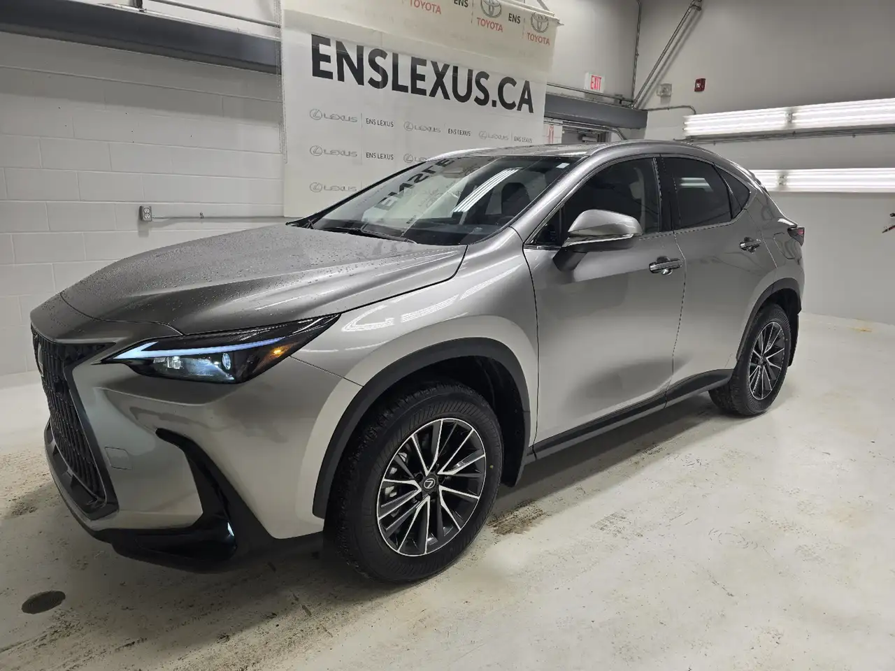 2026 Lexus NX