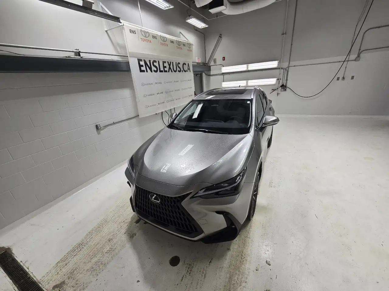 Lexus NX photo Lexus NX