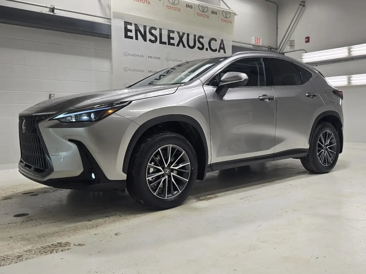 Lexus NX photo Lexus NX
