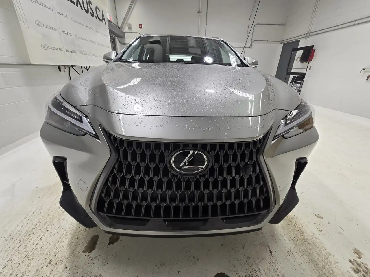 Lexus NX photo Lexus NX