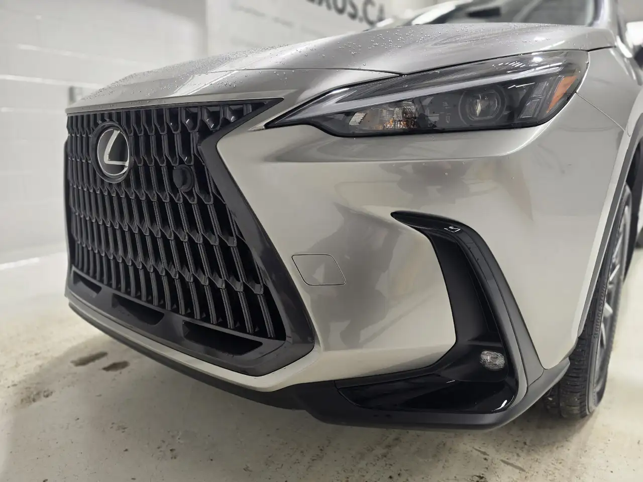 Lexus NX photo Lexus NX
