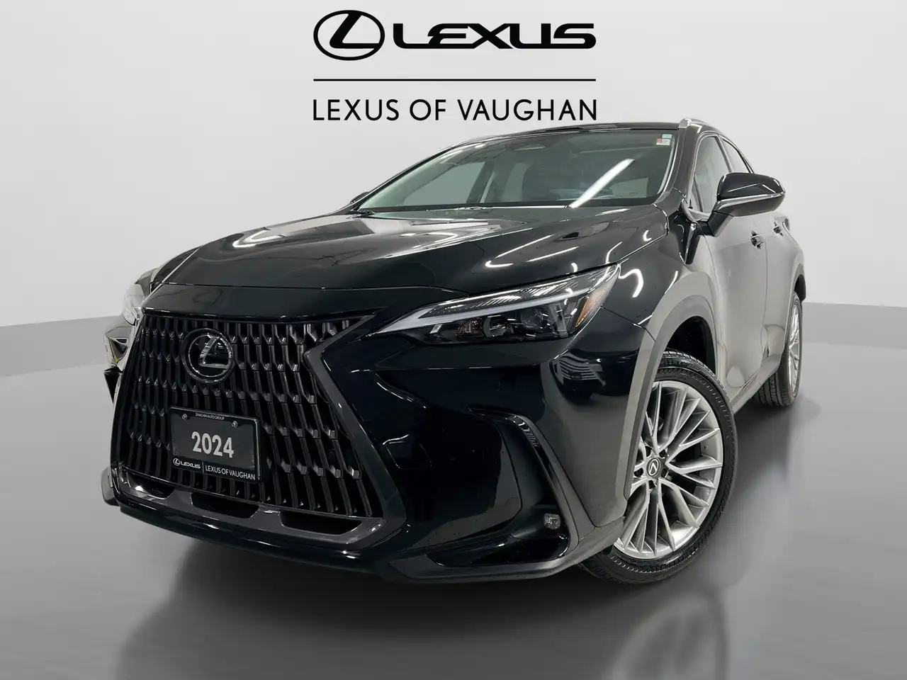 2024 Lexus NX