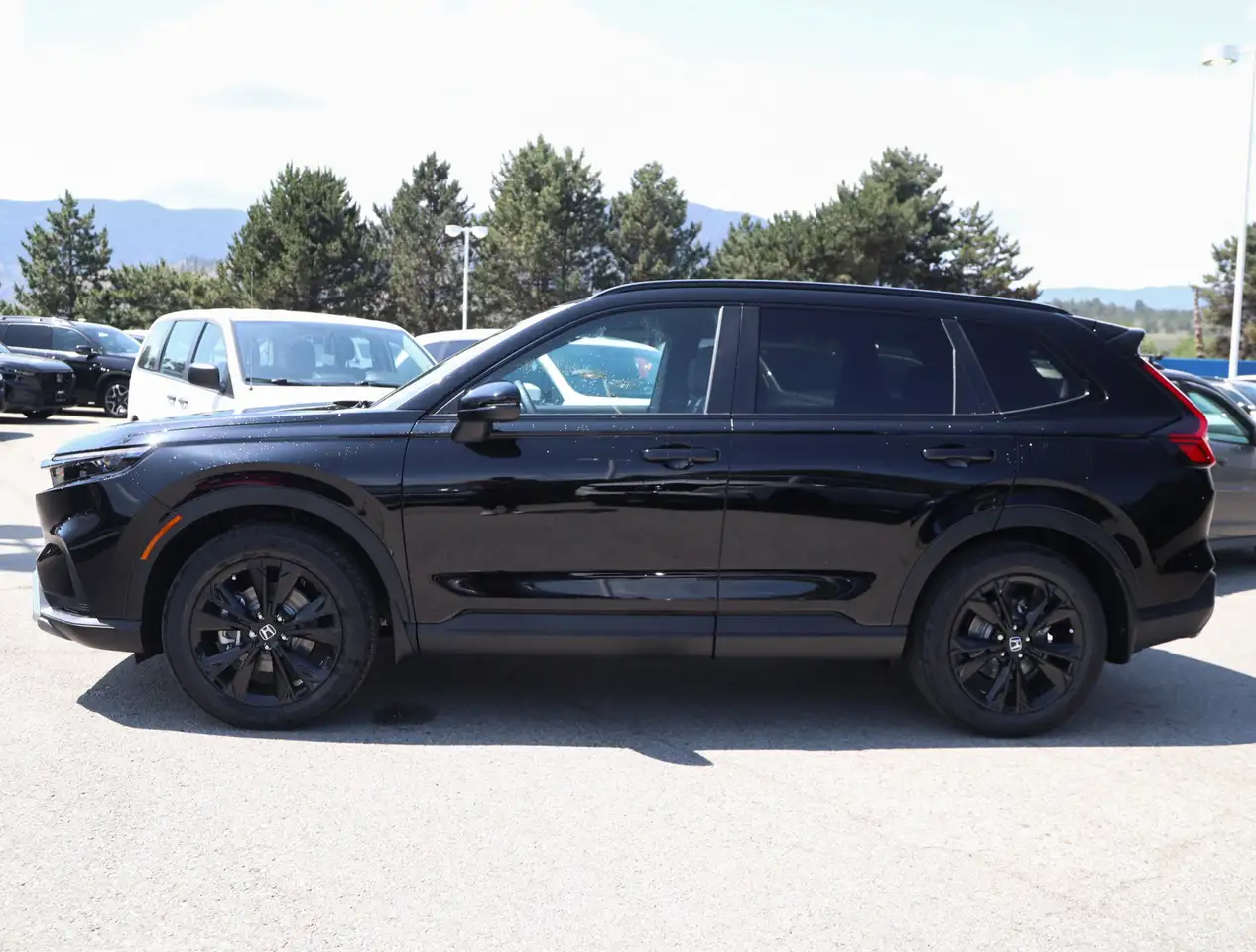 Honda CR-V photo Honda CR-V